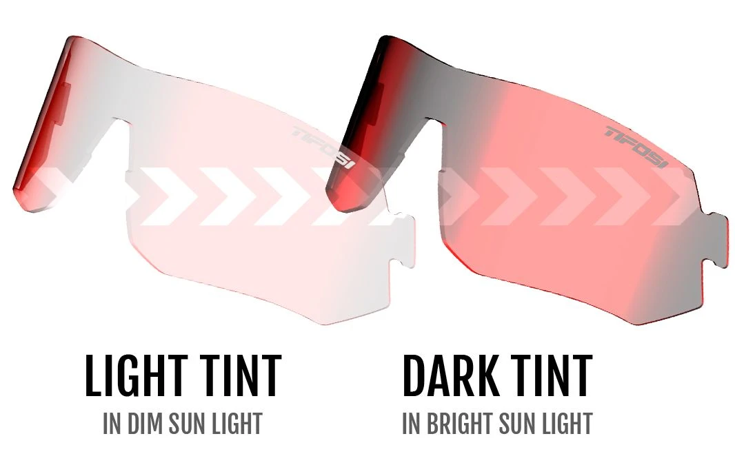 TIFOSI Tsali Fototec Sportbrille-black Mat 4 TIFOSI Tsali Fototec Sportbrille-black Mat – Bild 4